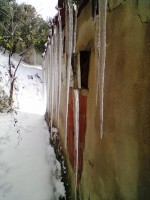 /album/pirriblog/fotos-de-eusebio-2-jpg/